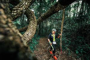 BIB: 
                            <button type="button" onclick="openModal(25394392)" class="btn btn-primary btn-sm float-right btn-popup" data-toggle="modal" data-target=".modal-high-quality">
                        <i class="fas fa-shopping-cart"></i> Add to Cart
                    </button>
                                            <button type="button" onclick="isThisMe(25394392, true)" class="btn btn-success btn-sm float-right btn-popup btn-isme hidden" data-toggle="tooltip" data-placement="bottom" title="นี่คือรูปของคุณใช่ไหม คลิกที่นี่เพื่อเอาเข้าอัลบั้ม">
                        <i class="fas fa-plus"></i> Add to album
                    </button>
                    <button type="button" onclick="isThisMe(25394392, false)" class="btn btn-warning btn-sm float-right btn-popup btn-isnotme hidden">
                        <i class="fas fa-ban"></i> Remove from album
                    </button>